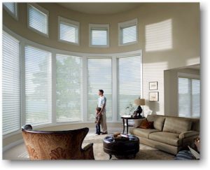 Hunter Douglas Silhouette Shades™